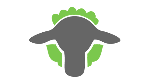 sheep-min sheep-min
